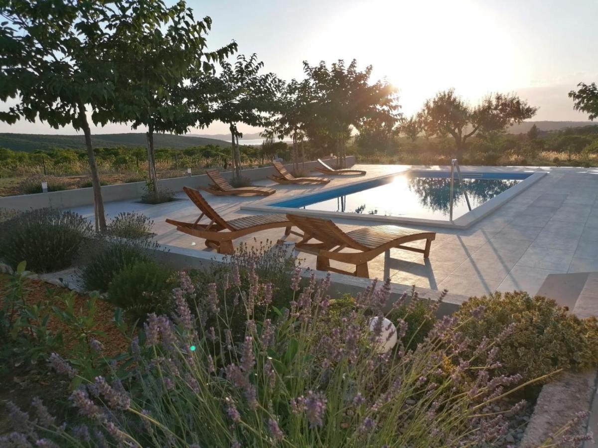 Villa Jelena Zadar Buitenkant foto